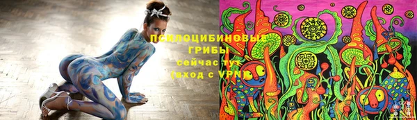 прущие грибы Белоозёрский