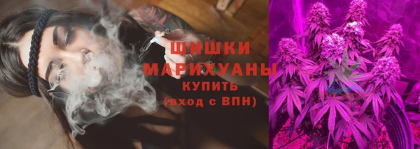 прущие грибы Белоозёрский
