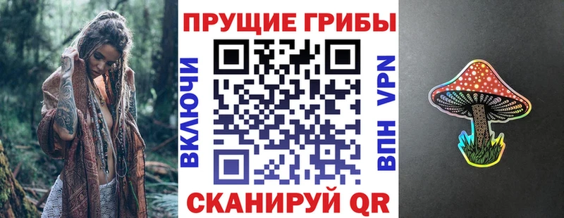 сайты даркнета клад  Ермолино  Галлюциногенные грибы мицелий 